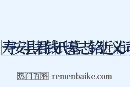 寿安县君钱氏墓志铭近义词是什么意思的图片